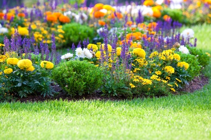Reliable Gardening Sun Prairie, WI Reliable Gardening Sun Prairie, WI